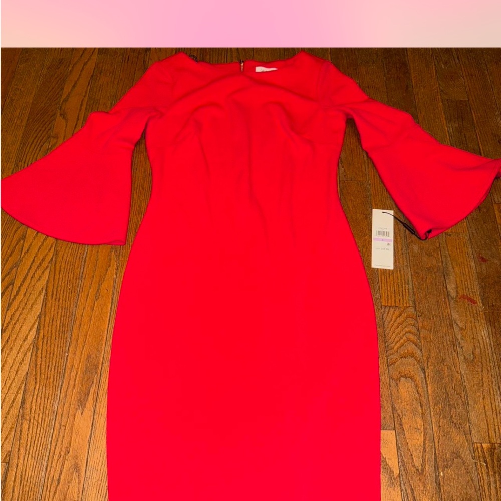 Elegant Pink Women's Dress